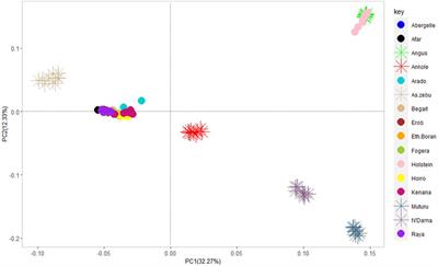 Genome-wide diversity and admixture of five indigenous cattle populations from the Tigray region of northern Ethiopia